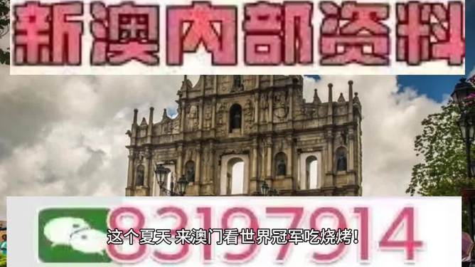 2025年澳门特马今晚开奖81期,澳门特马今晚开奖81期，探索未来的彩票文化